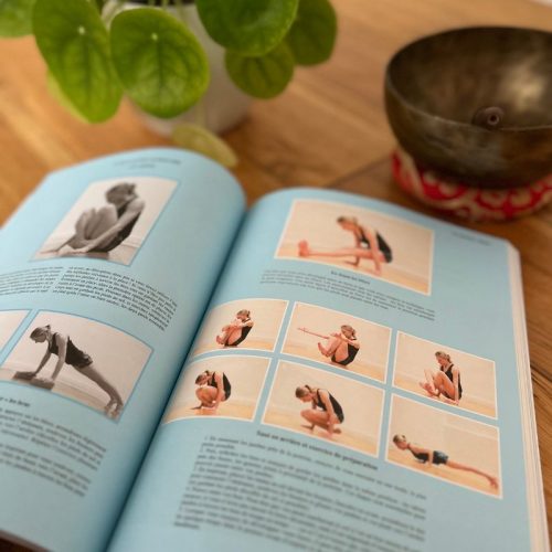 Gift Ideas Cadeaux AYP Book Livre